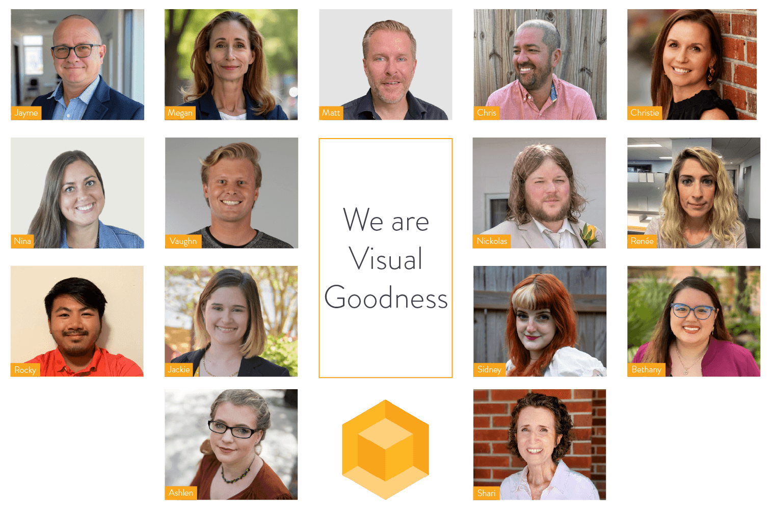 Visual Goodness team