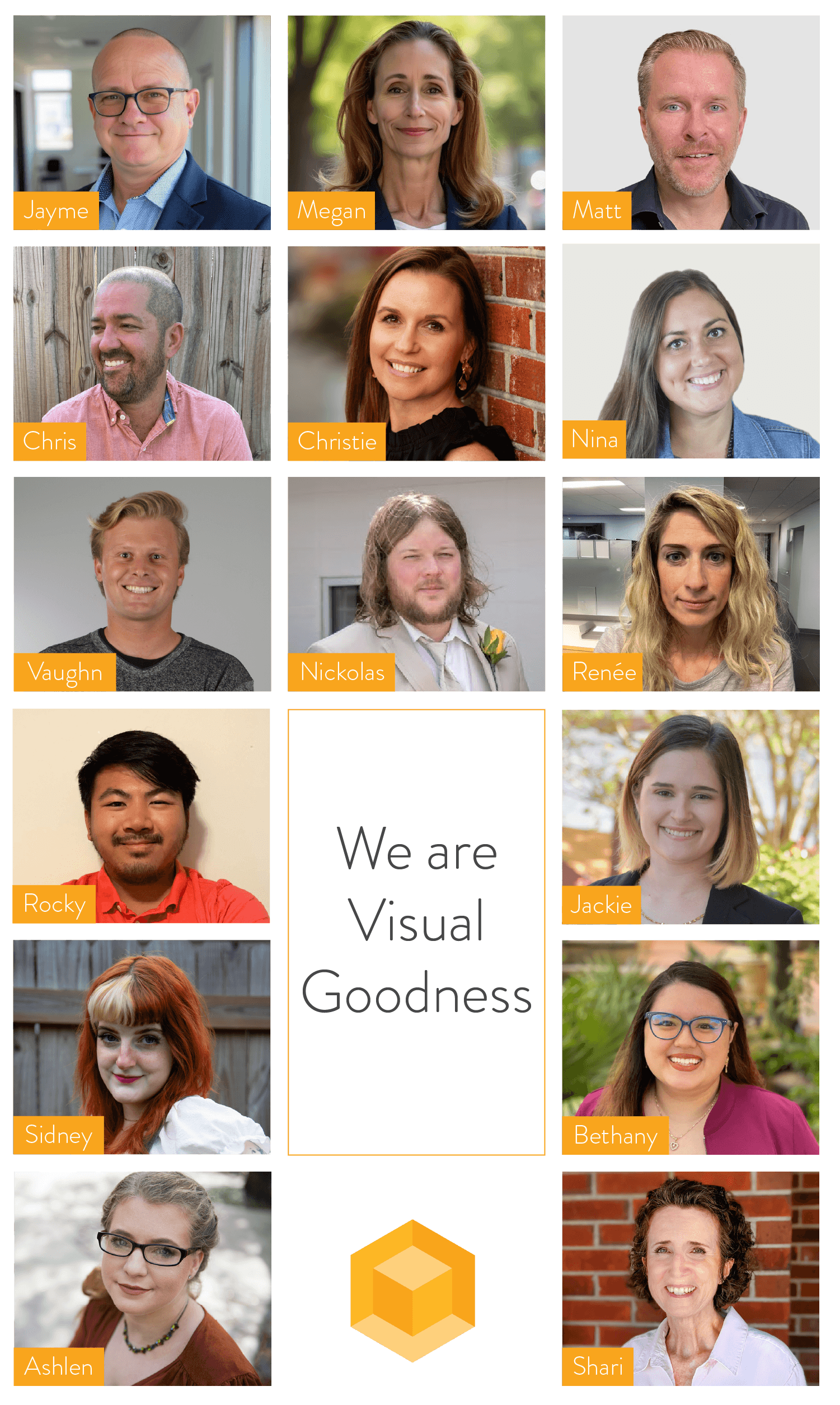Visual Goodness team